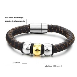Nyd Et Højt Omdømme I Ind- Og Udland Brun Titanium Læderarmbånd