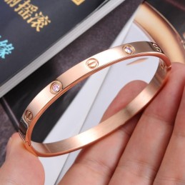 Titanium Armbånd Med Skrue I Overlegen Kvalitet Til Kvinder