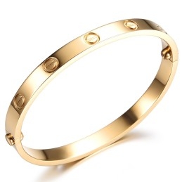 Let At Bruge Titanium Armbånd Til Kvinder