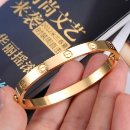 Let At Bruge Titanium Armbånd Til Kvinder