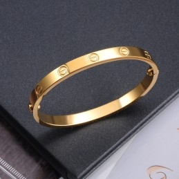 Let At Bruge Titanium Armbånd Til Kvinder