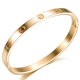Dronningen Af Kvalitets Titanium Armbånd Til Kvinder