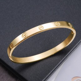 Dronningen Af Kvalitets Titanium Armbånd Til Kvinder