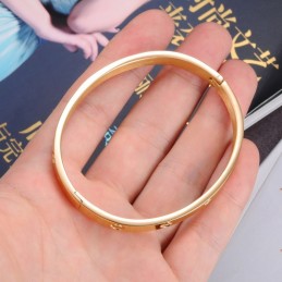 Dronningen Af Kvalitets Titanium Armbånd Til Kvinder