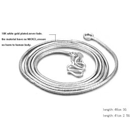 Komplet I Specifikationer Kvindelig Slangekæde Med I Titanium
