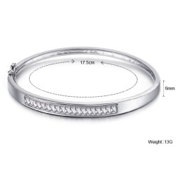 Pålidelig Kvalitets Allergifri Platinbelagt Titanarmbånd Til Kvinder Med Diamanter