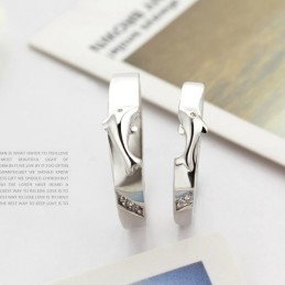 Komplet Specifikation I Dolphin Platinbelagt Titaniumring Til Elskere
