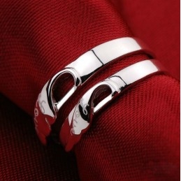 Dronningen Af Kvalitets Titanring Til Elskere