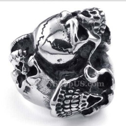 Titanium Kranie Ring