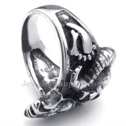 Titanium Kranie Ring