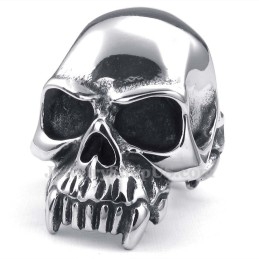 Titanium Kranie Ring