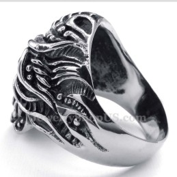 Titanium Kranie Ring