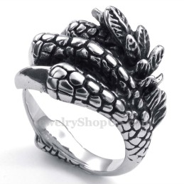 Titanium Pote Ring