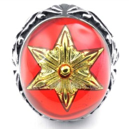 Guld Star Of David Titanium Ring