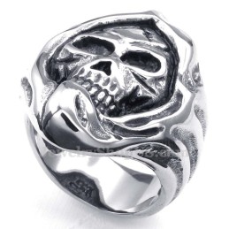 Titanium Kranie Ring