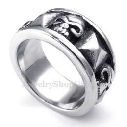 Titanium Kranie Ring