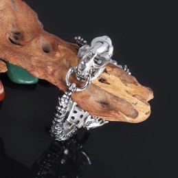 Retro Overdrevet Cool Dinosaur Chic Style Titanium Armbånd Til Mænd