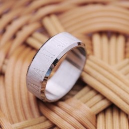 Herre Titaniumring