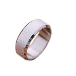 Herre Titaniumring