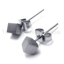 Sølv Rose Titanium Øreringe