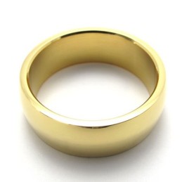 Guldpoleret Titaniumring