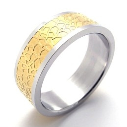 Guld Titaniumring