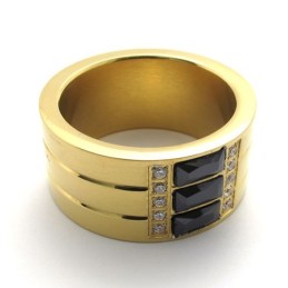 Guld Titaniumring