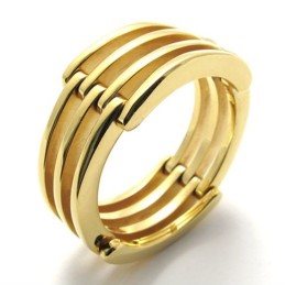 Guld Puslespil Titanium Ring