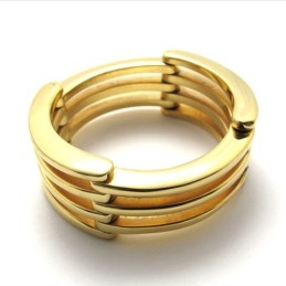 Guld Puslespil Titanium Ring