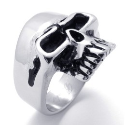 Kranie Titanium Ring