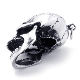 Kranie Titanium Vedhæng