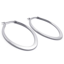 O-Ring Titanium Øreringe