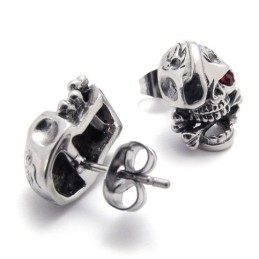 Kranie Titanium Øreringe