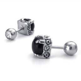 Elegant Form, Delikate Farver, Titaniumøreringe I Fremragende Kvalitet