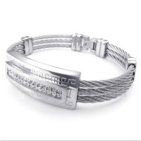 Titanium Armbånd